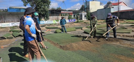 Dịch vụ cải tạo, thay cỏ sân bóng